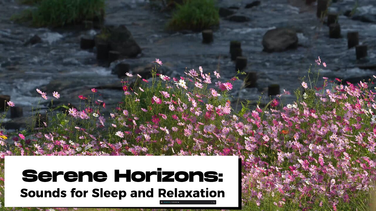 EPIC JAPANESE GARDEN | Serene Horizons | Sounds For Relaxing, Focus or Sleep | White Noise 10 Hours