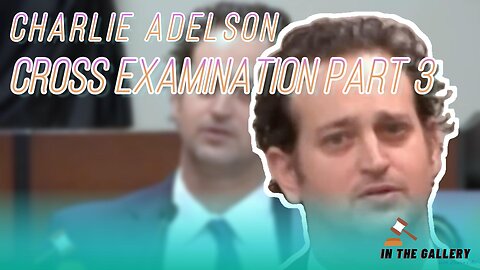 Charlie Adelson - Trial Review & Analysis - Cross Examination Part 3