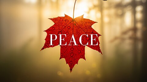 Just listen for 3 minutes… and see how your mind shuts off | divine music