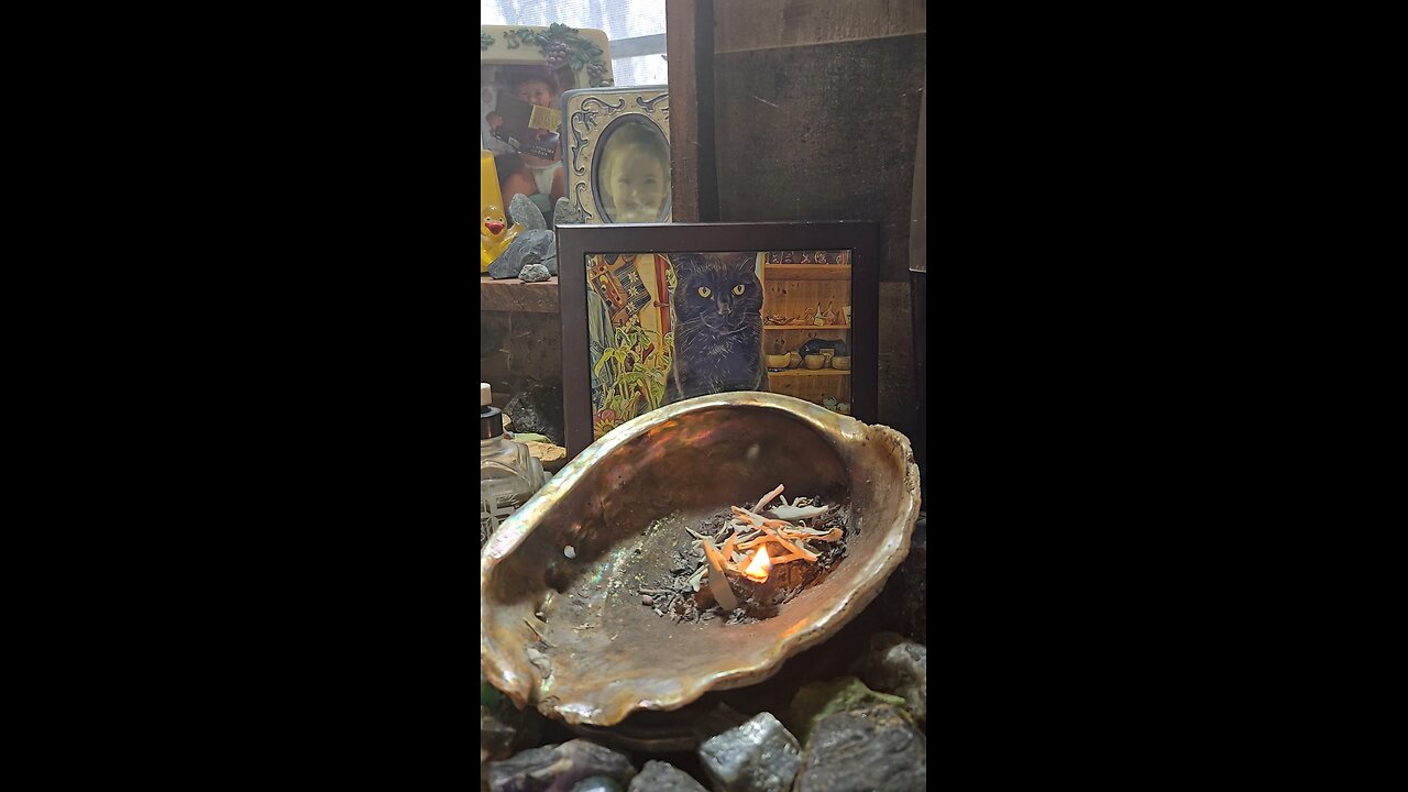 Nov. 30,2025 It started with Woodpeckers...