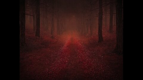 NewChatUpdate Conversation about The SIN Number and Birth Certificate Bond/ Trust, Whats the Truth.