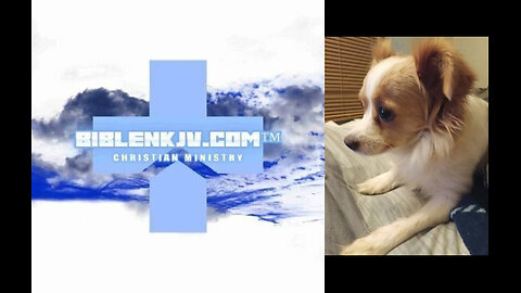 BIBLENKJV.COM™ 🛐 ADVENTURES OF ALFIE - ALFIE VEGGING OUT #ALFIE #PETS #SHORT