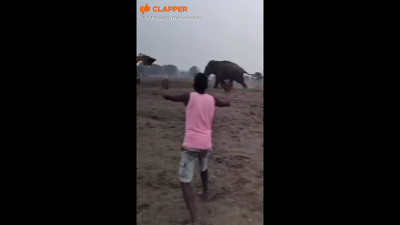 wow