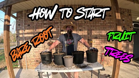 Can you plant bare root fruit trees in the winter?