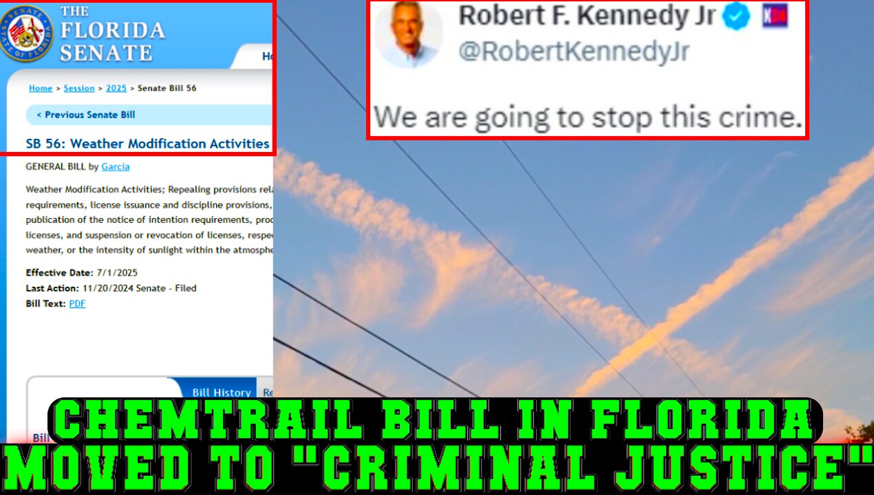 HUGE UPDATE: CHEMTRAIL BILL in Florida MOVED TO "CRIMINAL JUSTICE"