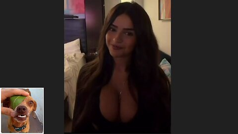 Funny videos compilation 39