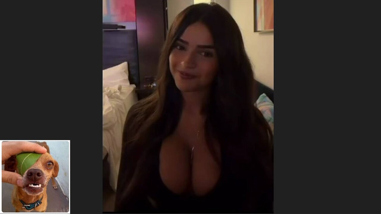 Funny videos compilation 39