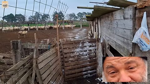 "Αυτό το φονικό.... Τι περιμένετε από μια τέτοια Ελλάδα που κυβερνιέται από σατανιστές;;;"