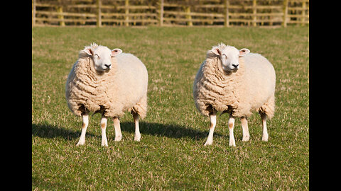 Cloning the First Human | Science Documentary + Human Cloning 2024 Pt. 1 and 2