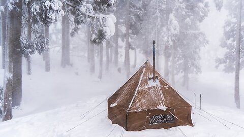 Solo camping in a blizzard | It's safe inside the tent even in a stormy forest#SoloCamping #Blizzard