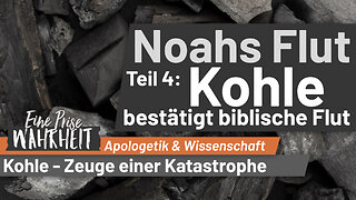 Wie Kohle Noahs Flut bestätigt - Noahs Flut, Teil 4 | Apologetik