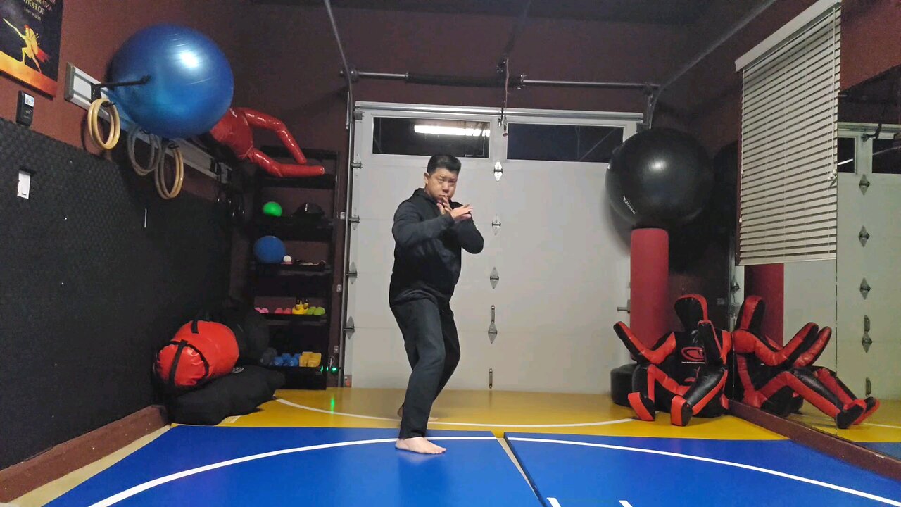 WTD 2 Step Kick Combination 48