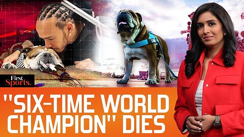 Lewis Hamilton’s Heartbreak: Beloved Dog Roscoe Passes Away | First Sports With Rupha Ramani | N18G