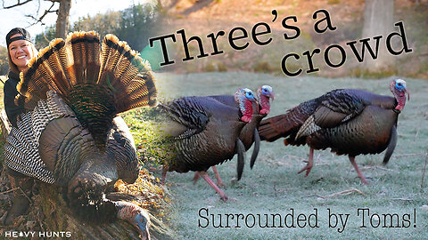 Spring Turkey Hunt | Three's A Crowd | Surrounded by Strutters in Wisconsin | 4K | Heavy Hunts Film