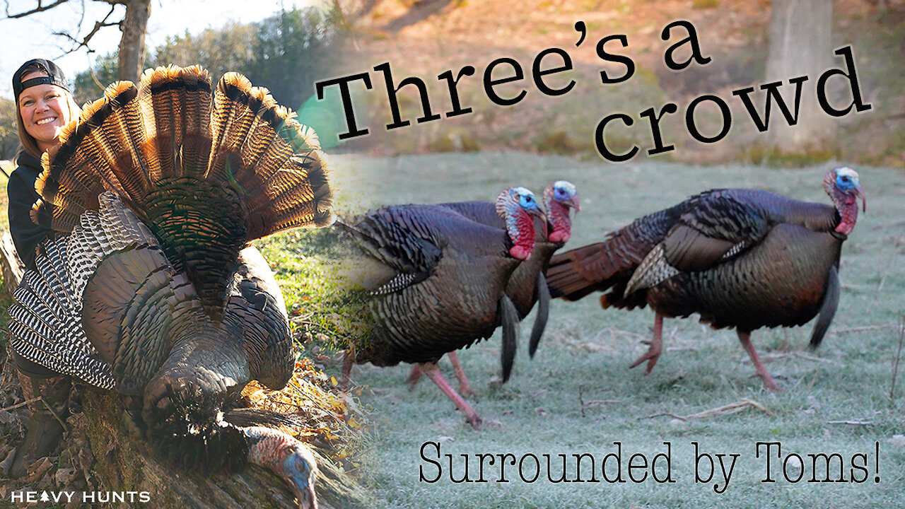 Spring Turkey Hunt | Three's A Crowd | Surrounded by Strutters in Wisconsin | 4K | Heavy Hunts Film