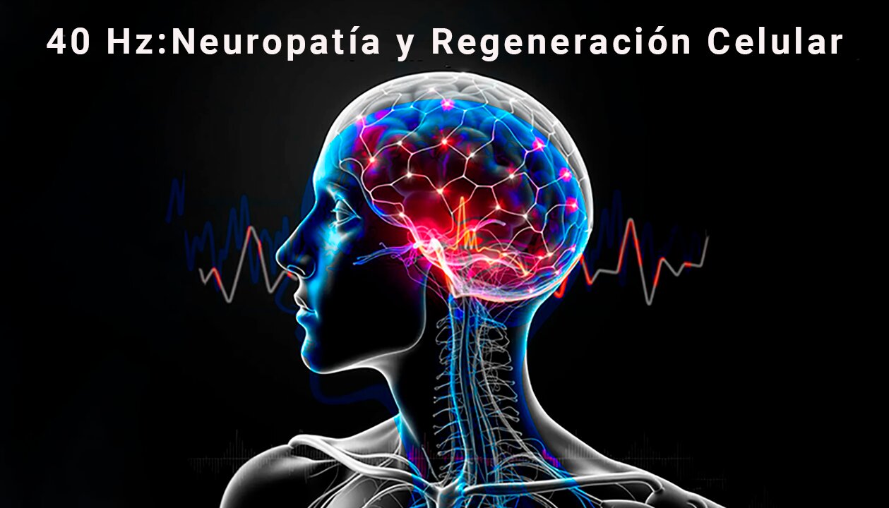 Frecuencia 40 Hz: Neuropatía y Regeneración Celular ✨🧠