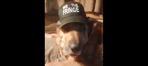 R.I.P. FEATHER - FURCHILD TIMBERTRAVELER