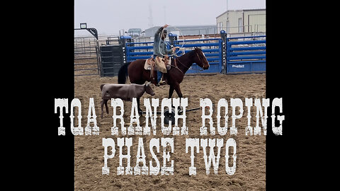 TQA Ranch Roping Phase Two