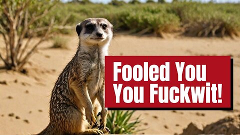 Why The Meercat Has You Fooled!