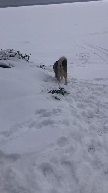 Saturday January 17, In that coming day.