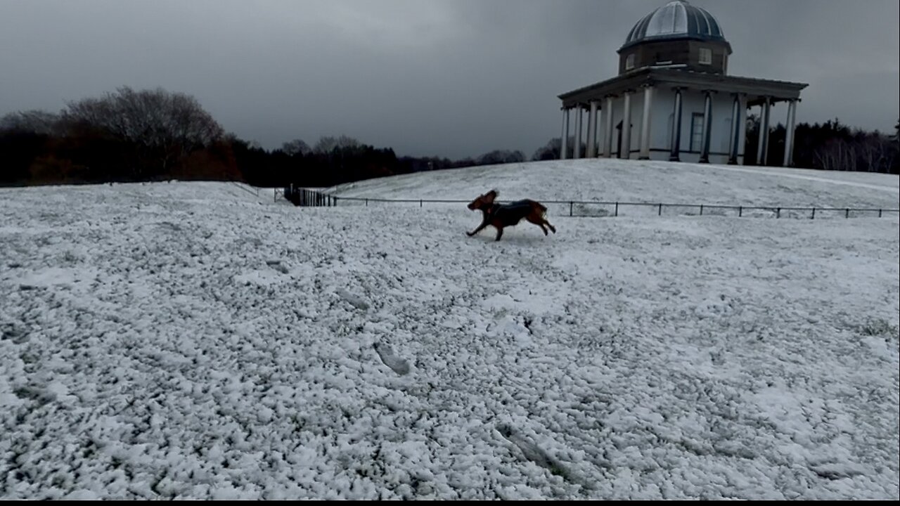 19/11/25 trail run with willow