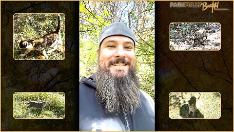 feral kitties & hiking | The Beauty of Nature & Sobriety 10/31/2025