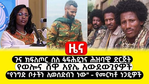 ABC TV ዜና | ጥር 9 2017 | ጉና ክ/ጦር ስለፋፍሕዴንና ሕዝባዊ ድርጅት | የወሎና ሸዋ አያሌ አውደውጊያዎች | "የንግድ ቦታችን ሊወሰድብን ነው"