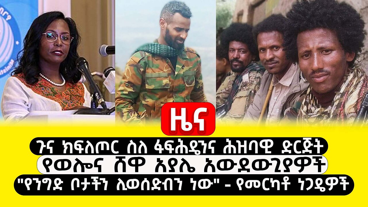 ABC TV ዜና | ጥር 9 2017 | ጉና ክ/ጦር ስለፋፍሕዴንና ሕዝባዊ ድርጅት | የወሎና ሸዋ አያሌ አውደውጊያዎች | "የንግድ ቦታችን ሊወሰድብን ነው"