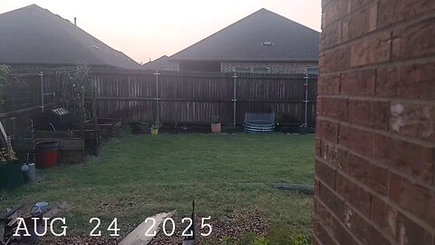 52 Sundays! Summer Casualties