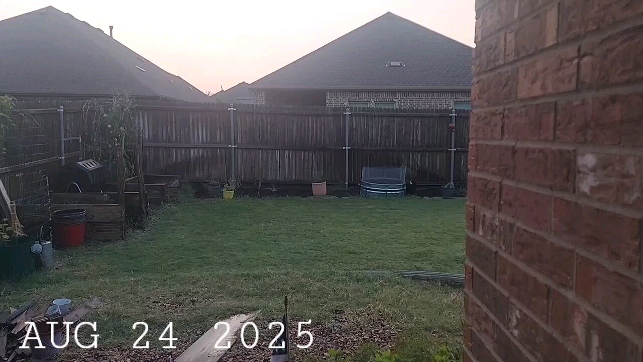 52 Sundays! Summer Casualties