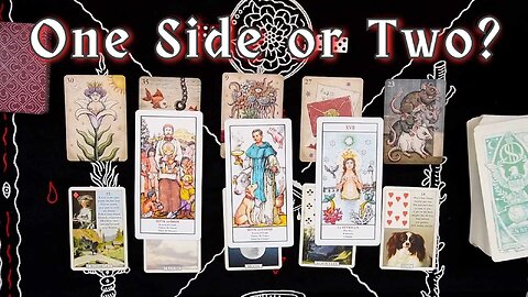 The Great Political Illusion: Why the Red vs Blue Fight is Fake