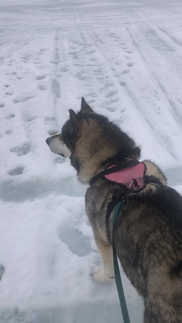 Tuesday February 25, Everything God created is good.