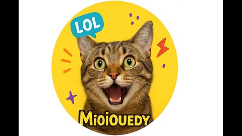 Funny cat