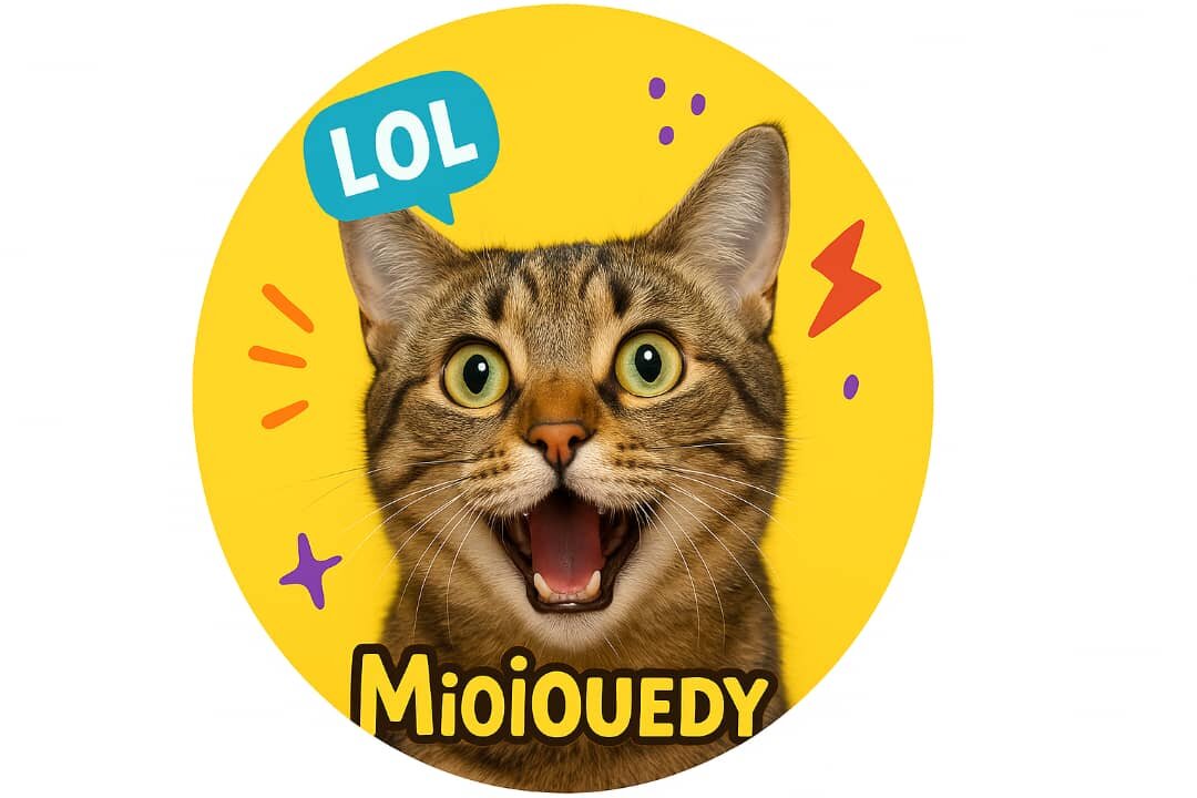 Funny cat