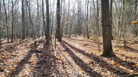 wspaniałe źródło informacji...