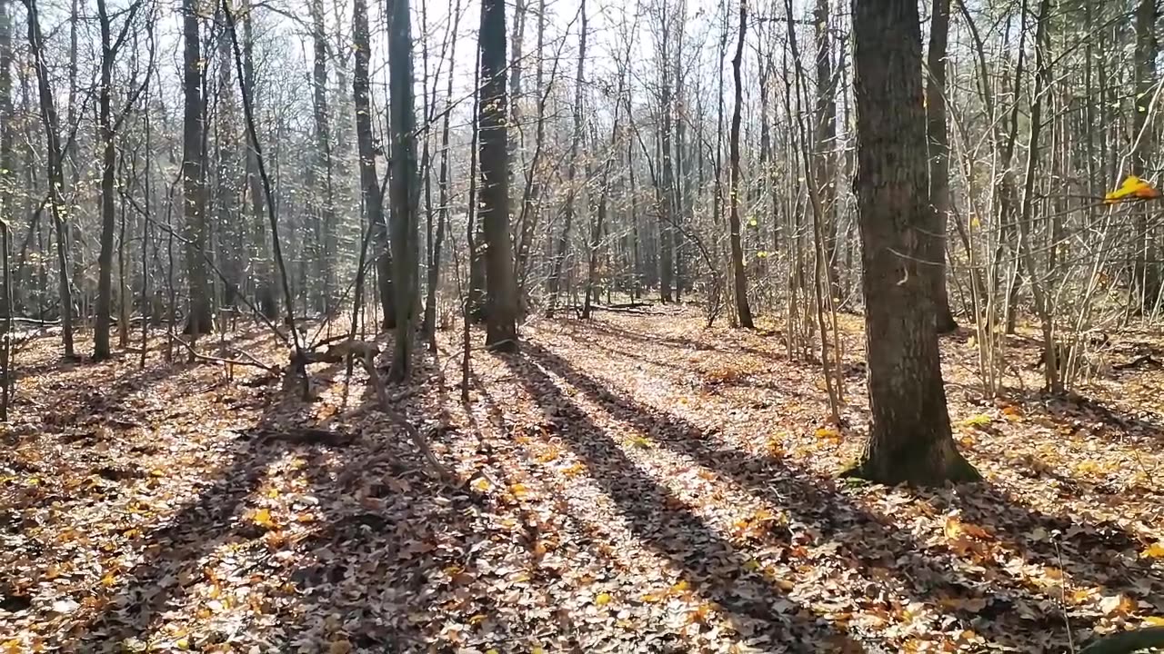 wspaniałe źródło informacji...