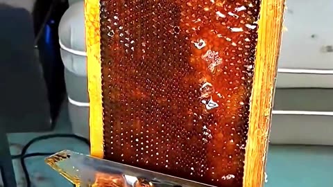 Honeycomb honey #honey #knowledge #science #foryou