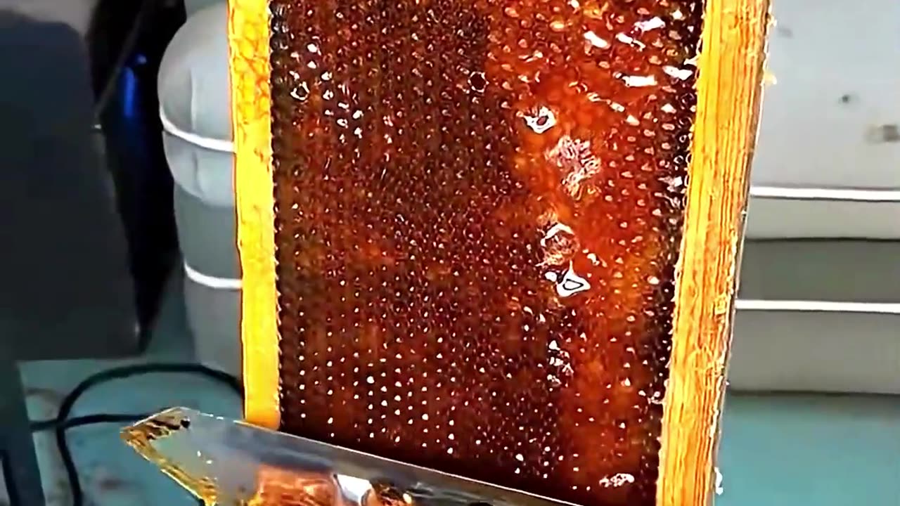 Honeycomb honey #honey #knowledge #science #foryou