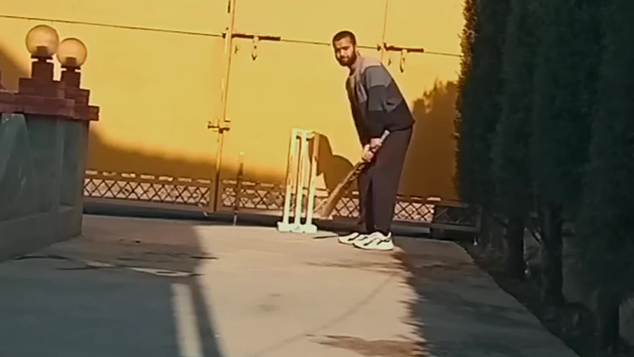 Classic straight drives || trying to play like virat kohli😅