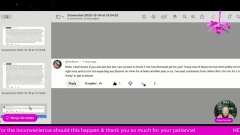 Monthly Q&A December '25 Comments Review Orchid Diverse Topics #ninjaorchids Hang Out #ninjaorchids