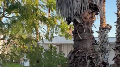 Rocket Launch Rattles Nearby Home