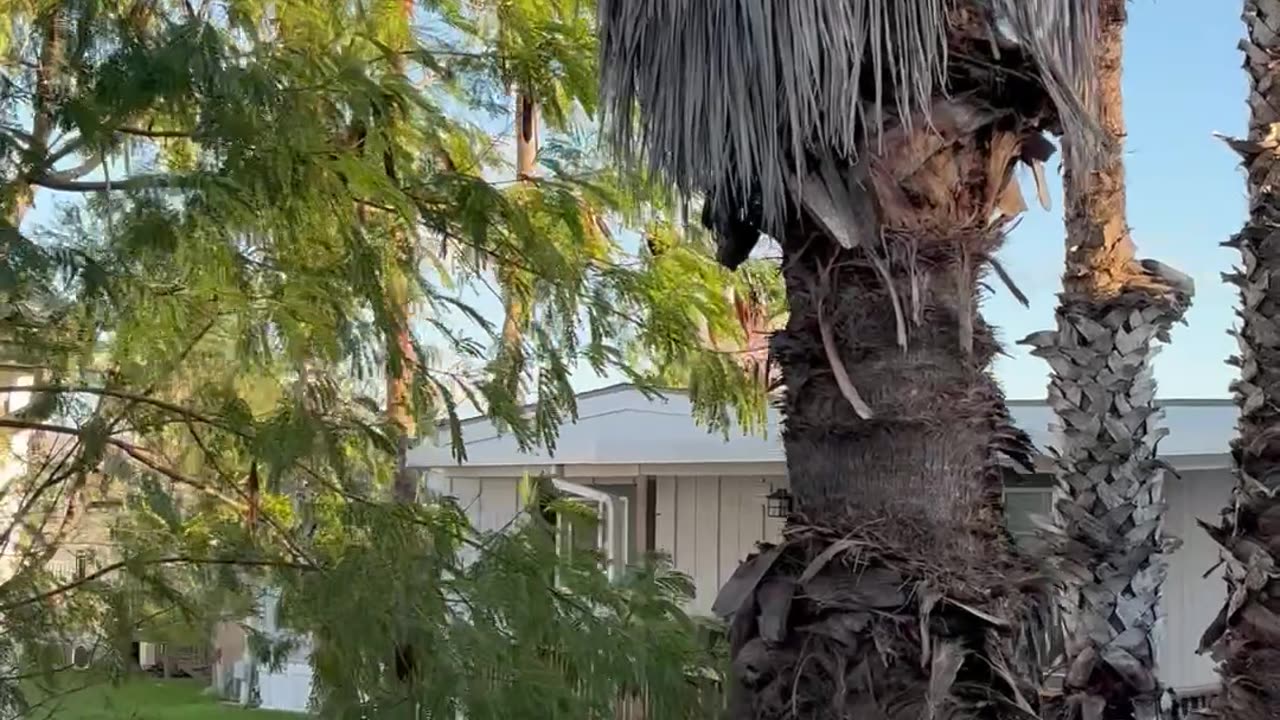 Rocket Launch Rattles Nearby Home