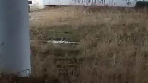 Ukrainian soldiers accidentally filmed the explosion of an armored reconnaissance and patrol