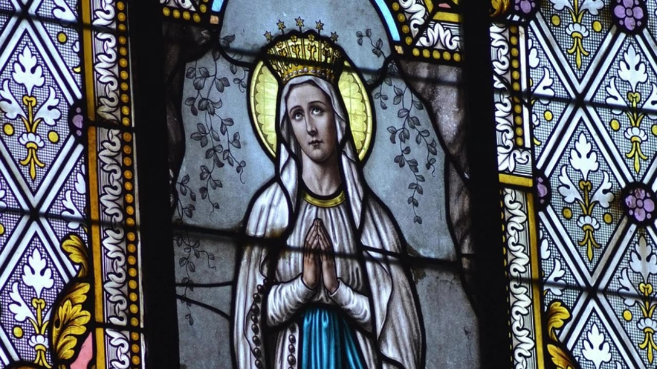 𝟖𝒕𝒉 𝑫𝒆𝒄𝒆𝒎𝒃𝒆𝒓 𝑰𝒎𝒎𝒂𝒄𝒖𝒍𝒂𝒕𝒆 𝑪𝒐𝒏𝒄𝒆𝒑𝒕𝒊𝒐𝒏