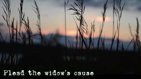 Plead the Widows Cause - Clip the Wings - 2025