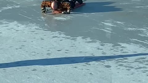 Rancher Rescues Calf Trapped on a Frozen Pond