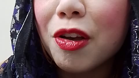 235 quantum Portugal Diaries