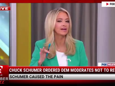 Chuck Schumer Ordered Dem Moderates Not To Reopen