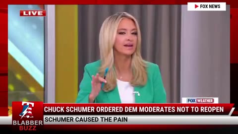 Chuck Schumer Ordered Dem Moderates Not To Reopen