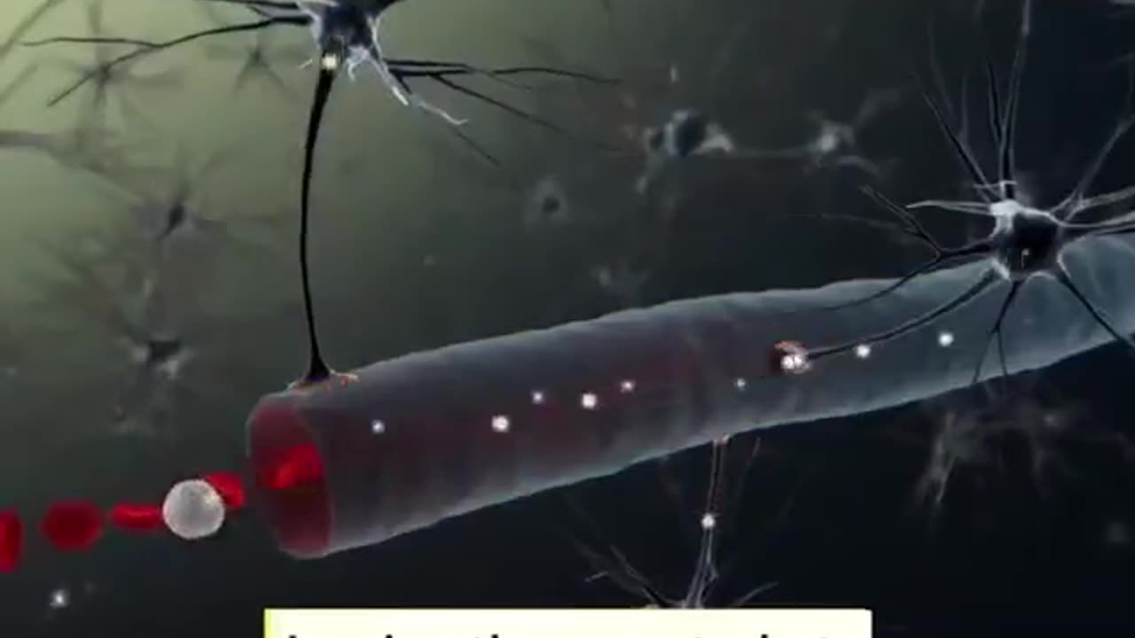 Microbot
